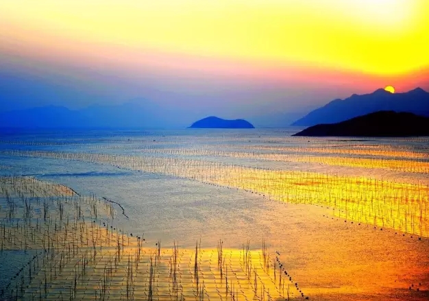 旅游发现中国最美的滩涂，这景色宜人，感觉来到人间仙境(2)