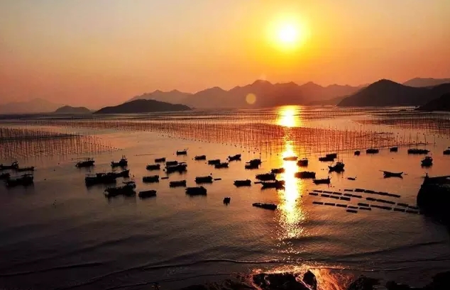旅游发现中国最美的滩涂，这景色宜人，感觉来到人间仙境(2)